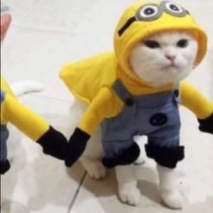 Meet your Posher, Maire